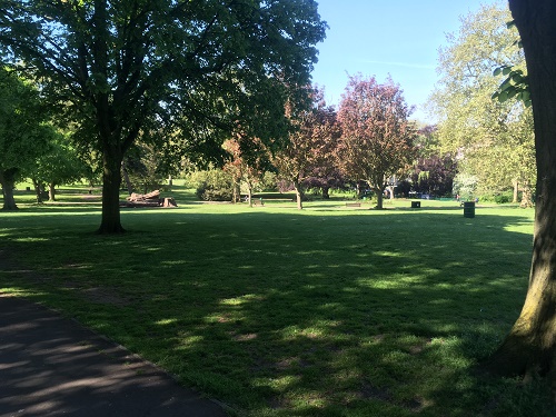 st andrews park Bristol trees
