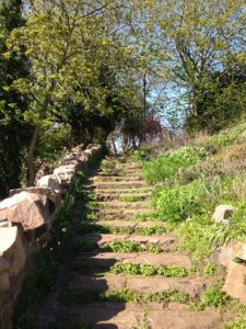 Brandon Hill Cabot Tower Bristol