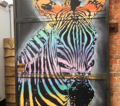 Bristol Zoo Reopens Coronavirus